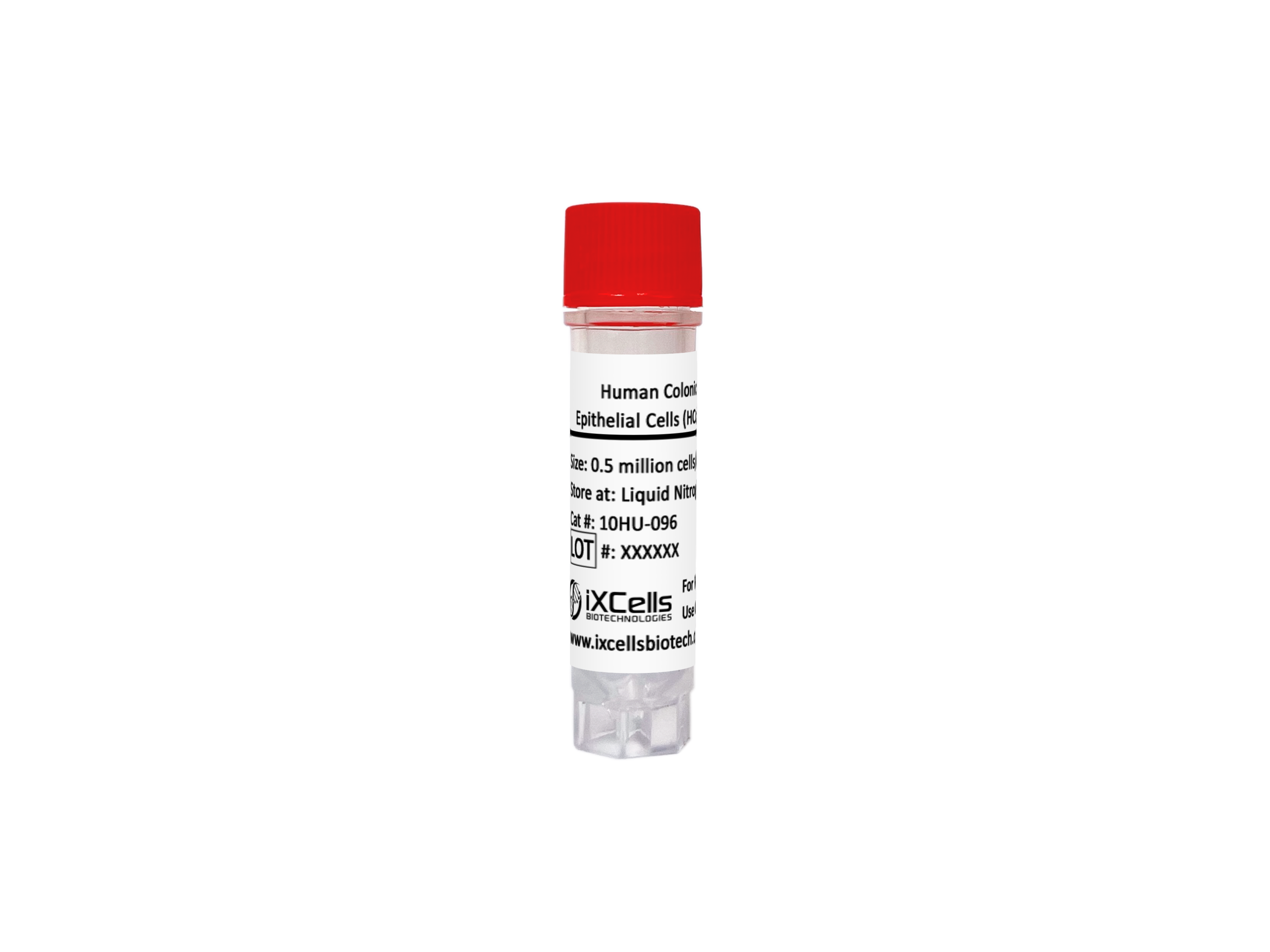 Human Colonic Epithelial Cells (HCoEpC)