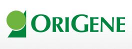 OriGene