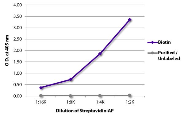 Streptavidin-AP