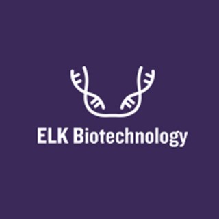 ELK Biotechnology