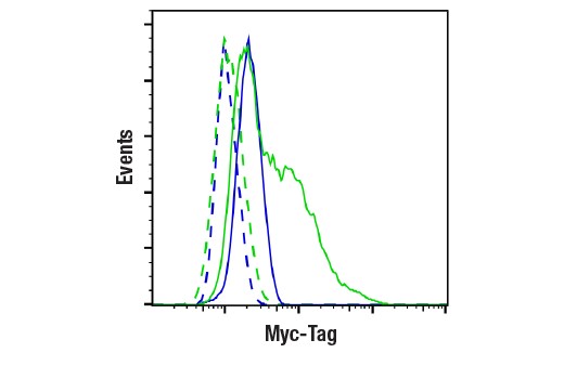 Myc-Tag (9B11) Mouse mAb #2276