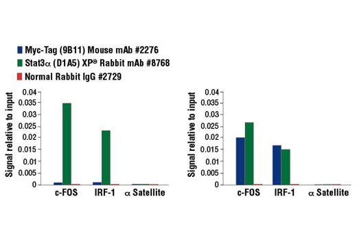 Myc-Tag (9B11) Mouse mAb #2276