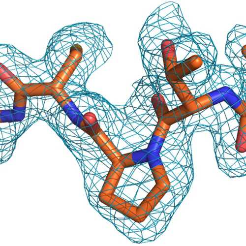 LOBSTR E. coli Expression Strain