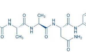 Proteins and Peptides