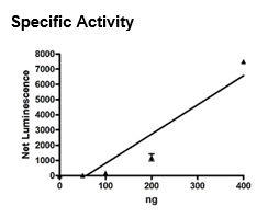 PARP3, GST-tag Recombinant