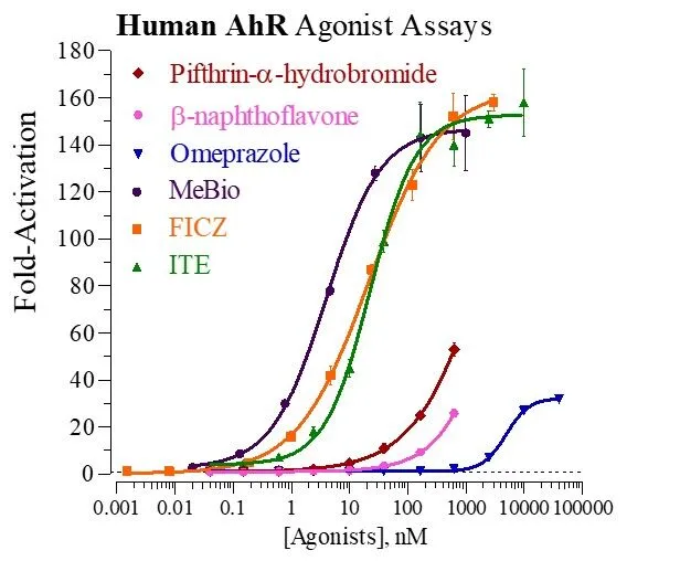 Human AhR Reporter Assay Kit