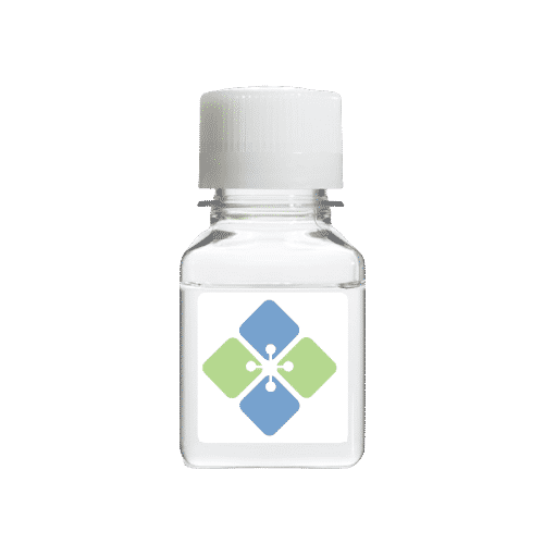 Casein Blocking Buffer 10X Solution