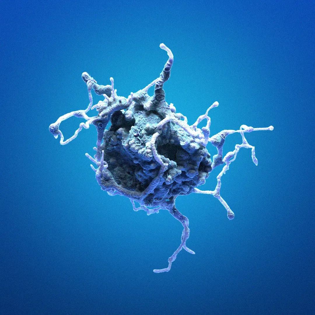 Cells