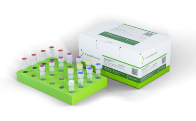 RNase+DNase Detection Kit