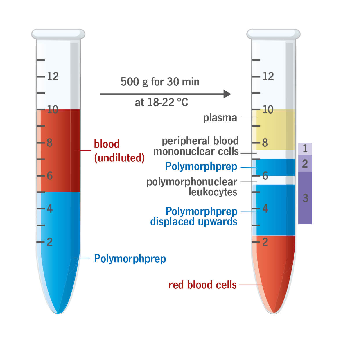 PolymorphPrep™