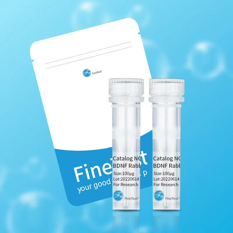 anti- CD206 antibody