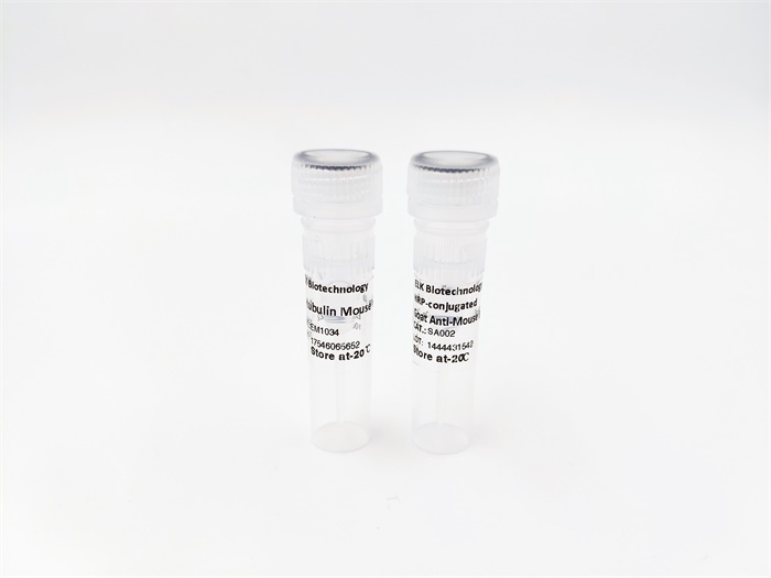 Antibodies