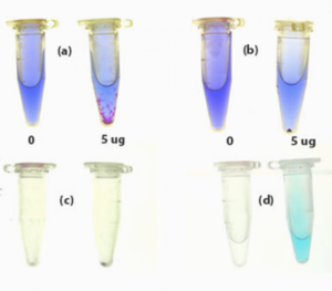Glycosaminoglycan Assay Blyscan™