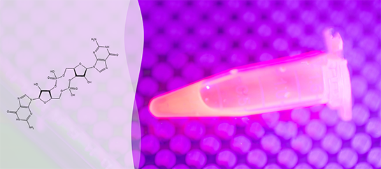Cyclic-di-GMP Assay