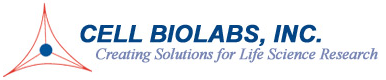 AAV Rapid Quantitation Kit
