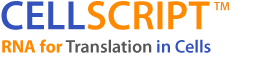 CELLSCRIPT