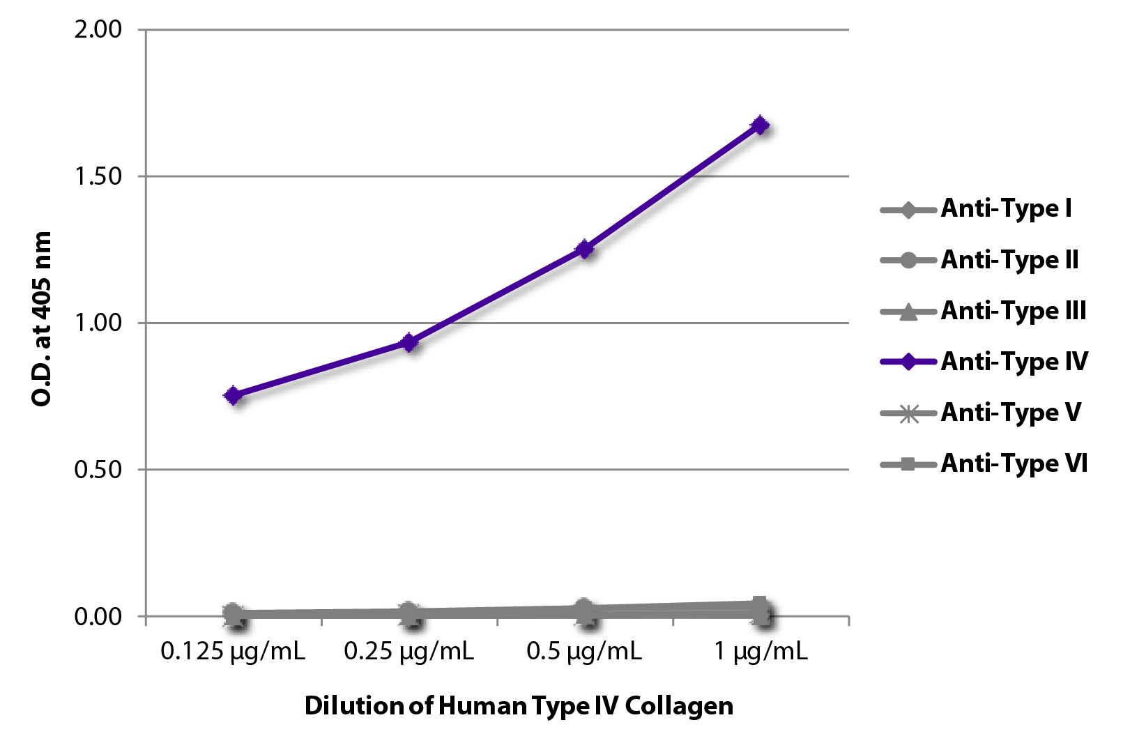 Human Type IV Collagen-Solution