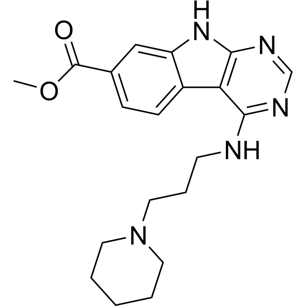 UM729