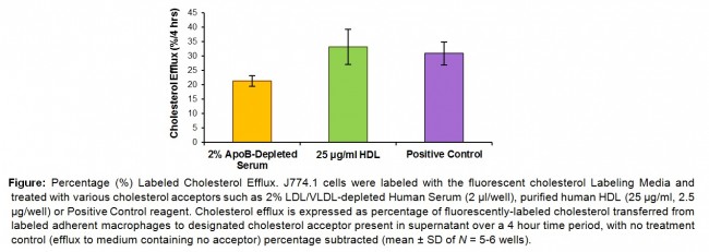 Cholesterol Efflux Assay Kit (Cell-based)