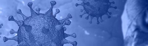 Virus Particles Image