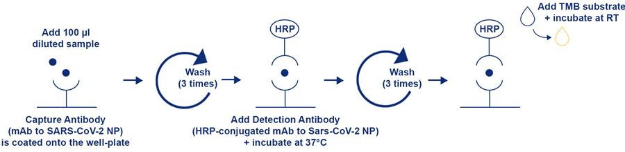 Assay Protocol for COVID-19 Antibody Pair