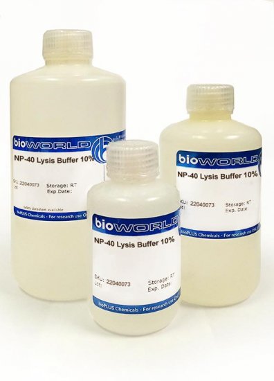 NP-40 Lysis Buffer 10%