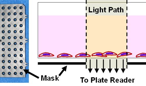 Cell Migration Assay | Tissue Culture-Treated | 5×96-well | Oris