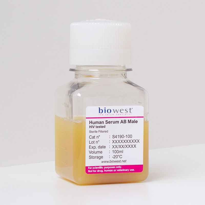 Human Serum AB male HIV tested - S4190