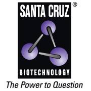 SANTA CRUZ