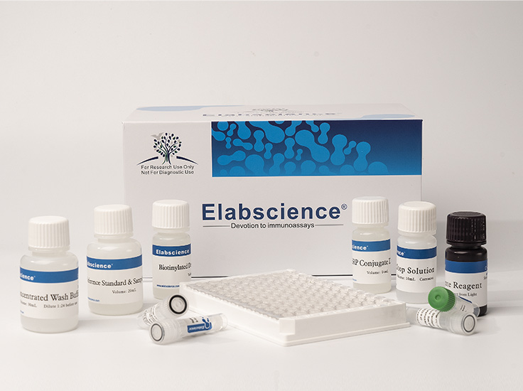 Mouse NOS2/iNOS(Nitric Oxide Synthase 2, Inducible) ELISA Kit (E-EL-M0696)